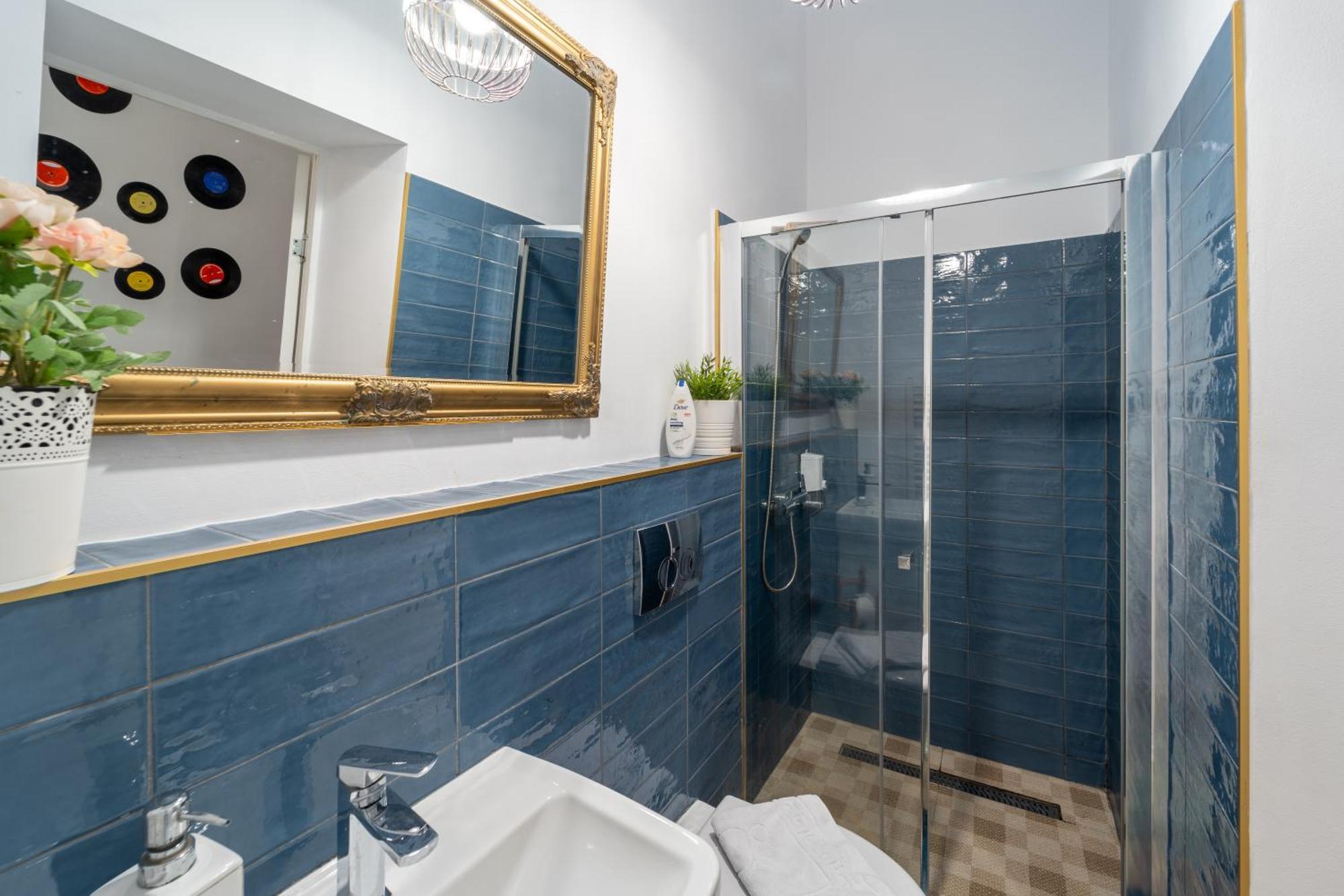הוילה קלוז'-נאפוקה Noble 5 Star House In Unirii Plaza מראה חיצוני תמונה